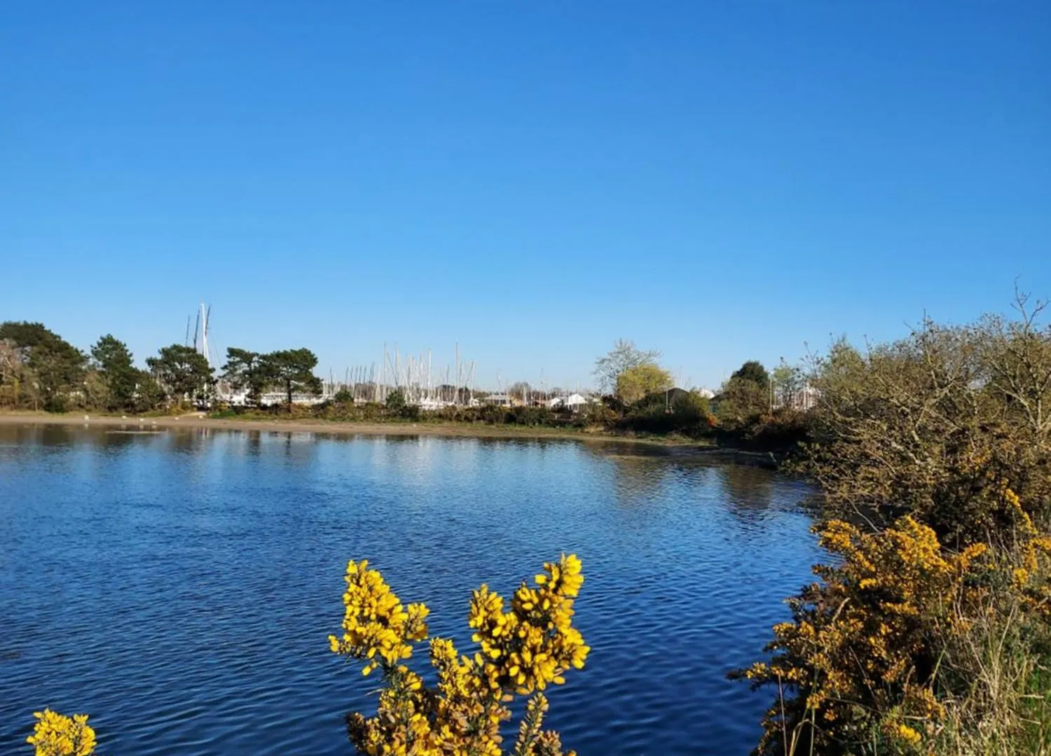 Baradoz Bed & Breakfast La Foret-Fouesnant